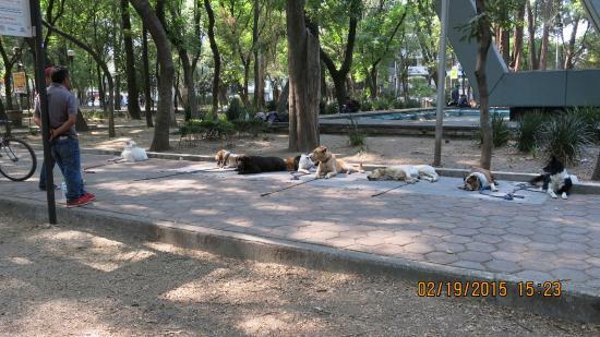Monumental Plaza de toros México